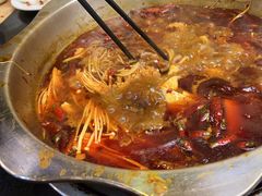 -金鼎雪山牦牛杂火锅(理县总店)