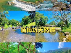 -杨梅坑