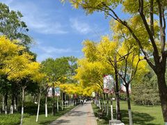-南翠屏公园