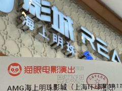 -AMG海上明珠影城(上海环球港RealDCinema店)