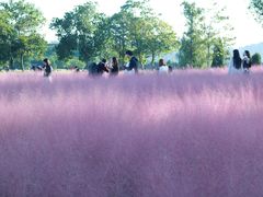 -汉长安城未央宫国家考古遗址公园