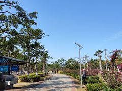 -万绿园