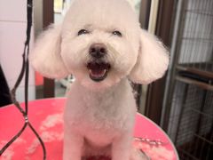 -瑞鹏宠物医院·爱宠堂·骨外专科(西荷分院)