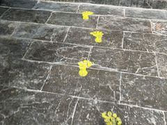 -吉林省自然博物馆