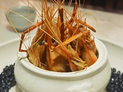 花雕醉沼虾-径山十八道·风味民间菜(杭州总店)