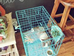 -志龙皇冠吃货椰子铺
