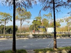 -上海长兴岛郊野公园