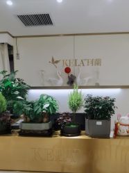 -珂兰钻石(美美2购物中心店)