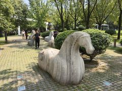 -唐城墙遗址公园