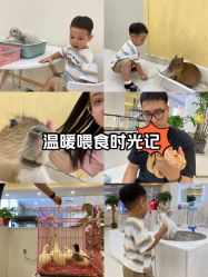-Moni星球萌宠·小马宝莉·灵蛇·高端高阶全萌宠互动体验俱乐部(红豆国际广场店)