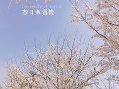 -花博汇(知音花月夜)