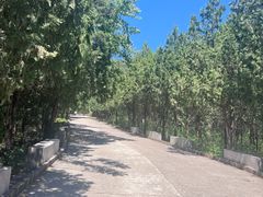 -北京十三陵国家森林公园蟒山景区