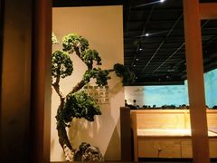 -绿茶餐厅