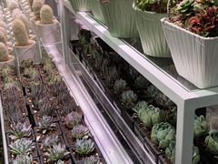 -KKV(深圳宏发大仟里店)