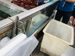 -盒马鲜生(大成店)