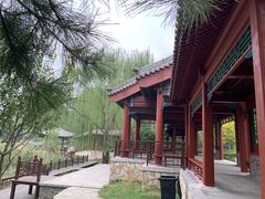 -北坞公园