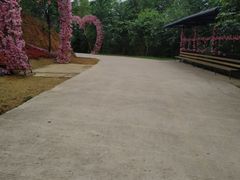 -南丹山森林王国