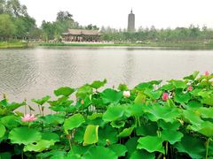-西海子公园