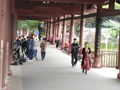 -重庆彩云湖湿地公园