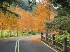 -福清灵石山国家森林公园