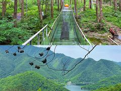 -富春桃源风景区