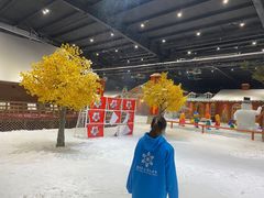 -宁波冰雪大世界(北仑区)