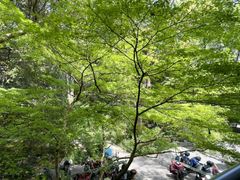 -山外山菜馆(玉泉路店)