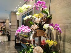 -广州白天鹅宾馆