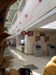 -复旦大学附属妇产科医院(杨浦院区)