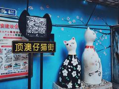-猫咪博物馆(顶澳仔猫街店)