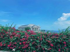 -芽庄珍珠岛游乐园