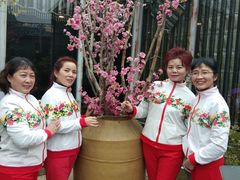 -阿细汉菜(本地盐帮菜名店)