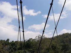 -西双版纳原始森林公园