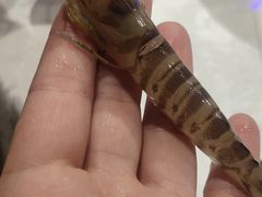 -柒加海鲜姿造