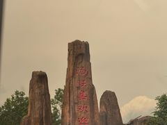 -汤旺河林海奇石景区