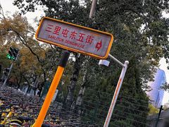 -三里屯东五街银杏大道