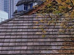 -重庆十八梯传统风貌区