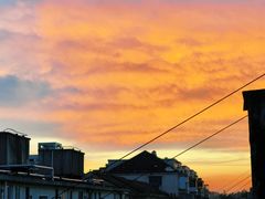 -新江湾城公园