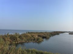 -苏州太湖湖滨国家湿地公园