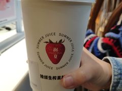 -树夏(锦里店)