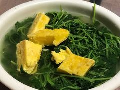 益母草-园林美食城·本土农家菜(杨和镇店)