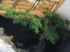 -金沙汤泉·足道洗浴汗蒸