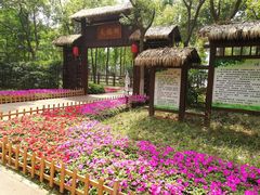 -艾溪湖湿地公园