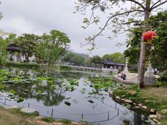 -黎记大排档(慈云路店)