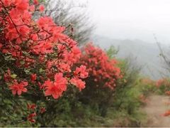 -永州阳明山国家森林公园