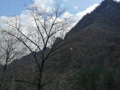 -黑河国家森林公园