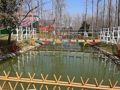 -合肥滨湖国家森林公园