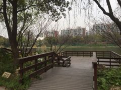 对望湿地-新江湾城公园