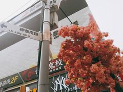 -顺溜·手工刀削面·黑金店(铜锣湾店)