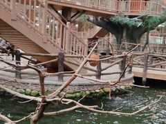 -南宫五洲植物乐园